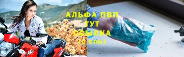 СК Вяземский